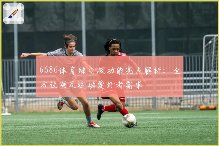 6686体育综合版功能亮点解析:全方位满足运动爱好者需求